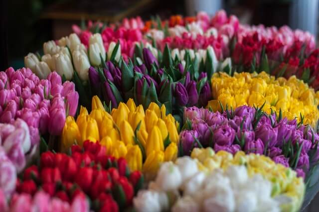 Picking The Best Flowers For Your July Wedding The Park Savoy Estate